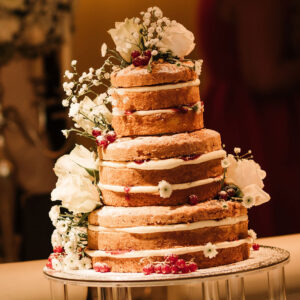 Lion and Swan wedding cake
